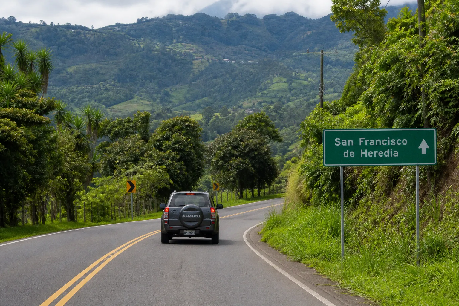 Car Rental in San Francisco (Costa Rica): The Practical Guide