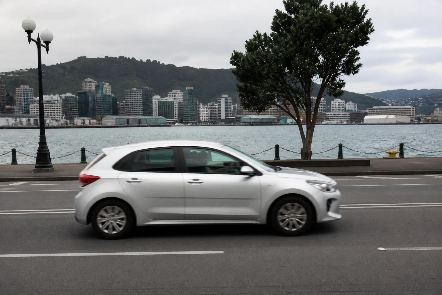 Car Rental in Wellington, New Zealand: A Practical Guide