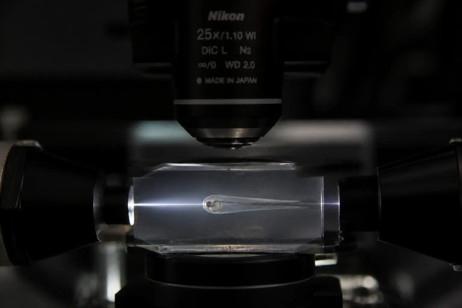 Zebrafish light-sheet imaging: 4 phototoxicity fixes